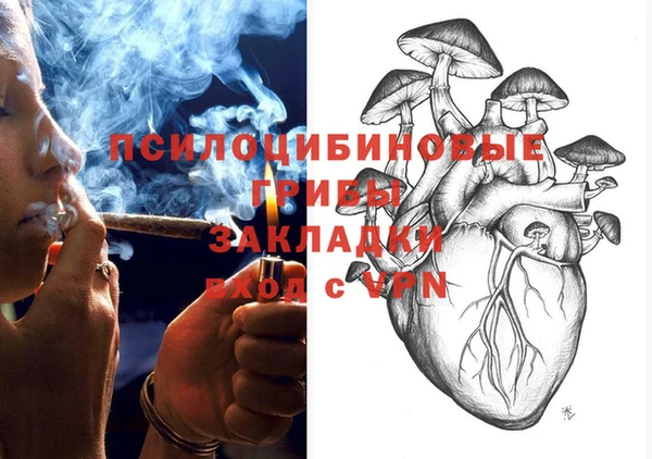 mix Новодвинск