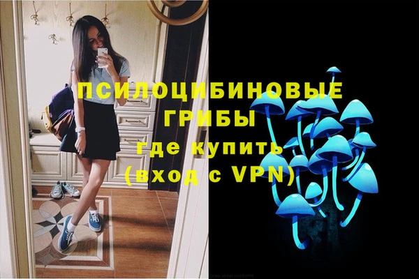 трава Новокубанск